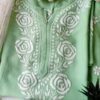 Pastel Green Chikankari Outfit
