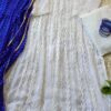 Dazzling White Blue Leheria Chikankari Outfit