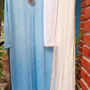 Remarkable Shaded Powder Blue Pure Viscose Georgette Chikankari Outfit