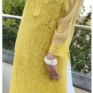 Sparkling Daisy Delight Yellow Chikankari Outfit
